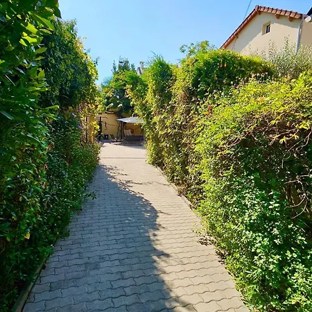 Appartement Privee Dans Partage, Moon Ray Paris & Stade De France Stains